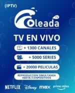 PANEL - OLEA TV - Imagen 2
